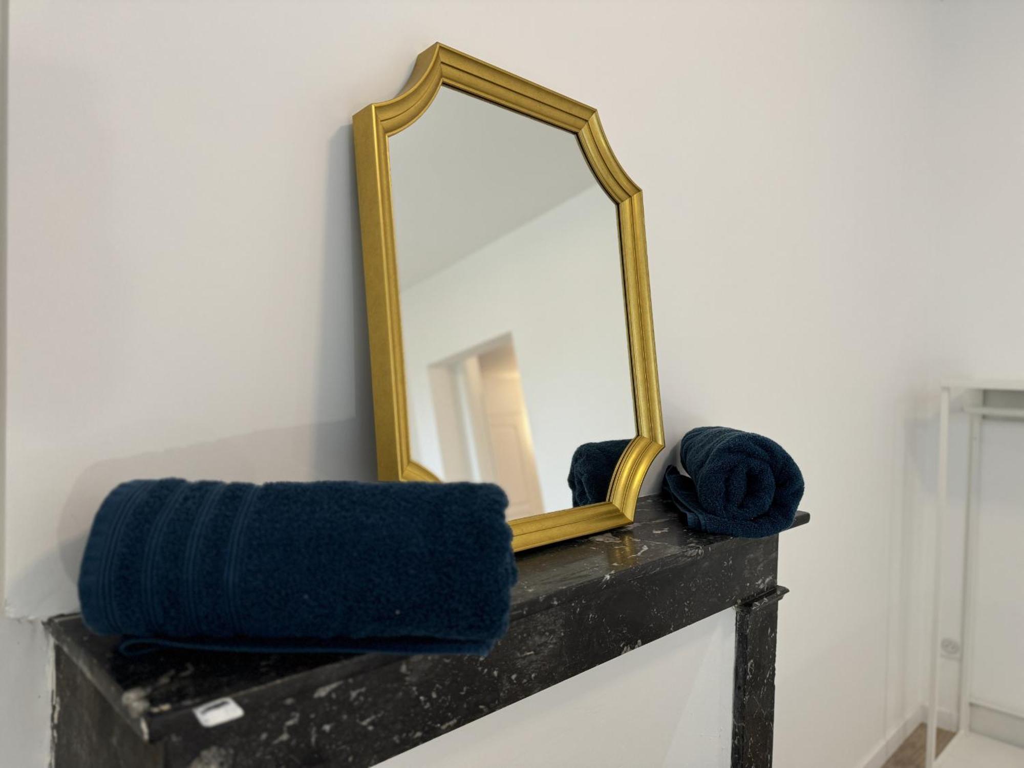 Les Lys Bleus - 4Pers - Reve Au Mans Apartment Le Mans Ngoại thất bức ảnh